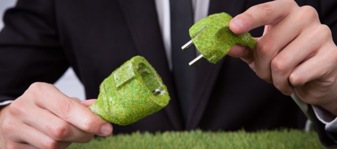 biuro ekologiczne na wynajem