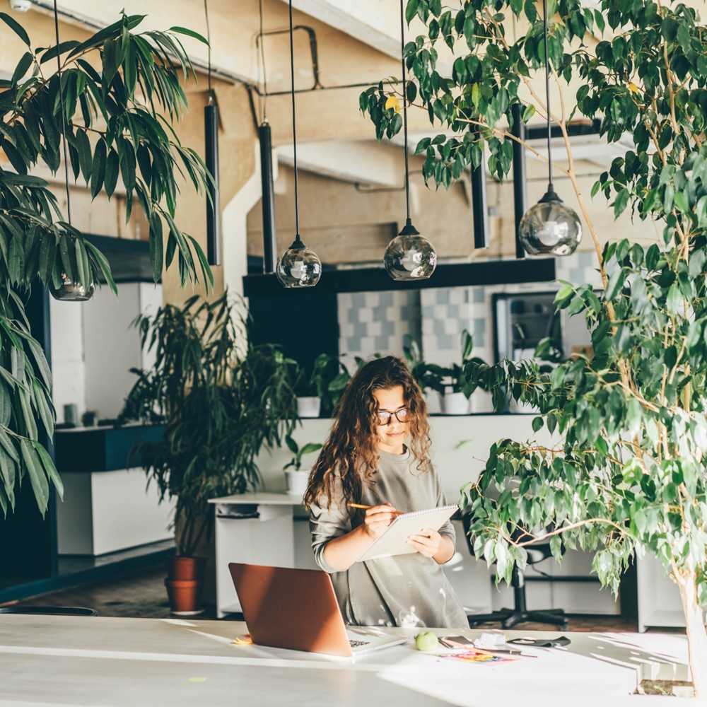 Najlepsze rośliny do biura, które wniosą życie w Twoje otoczenie